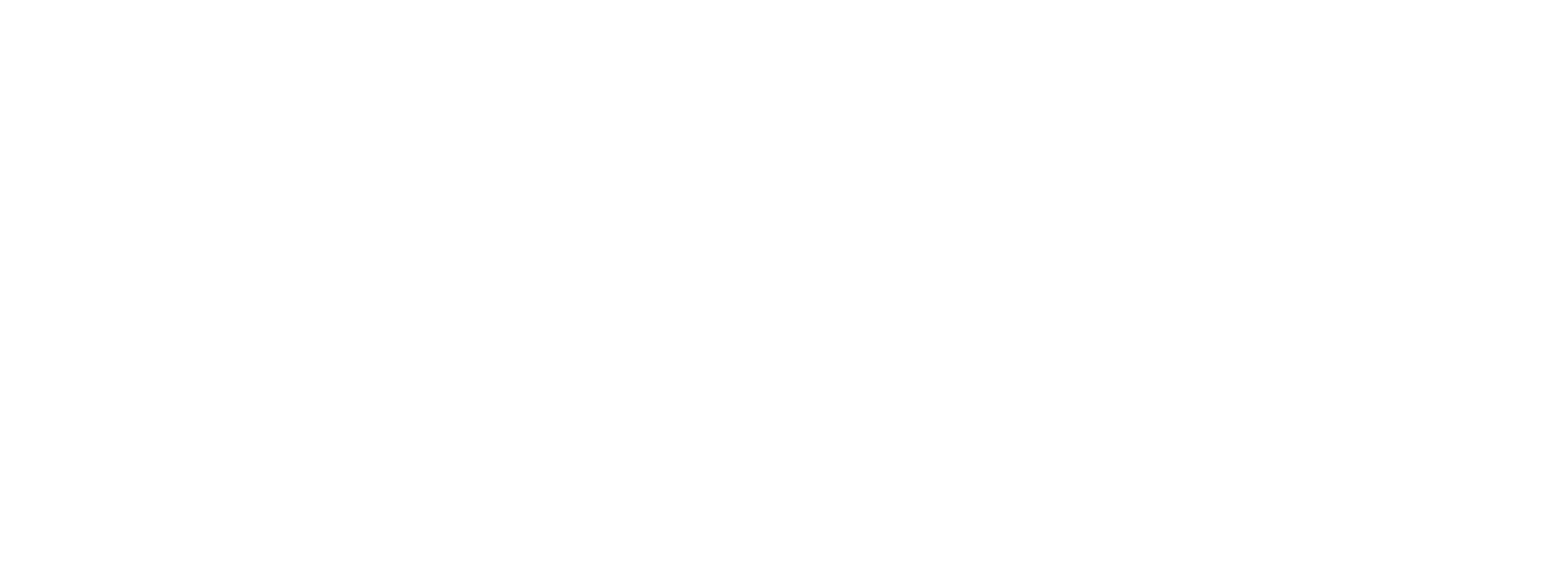 W.T.I. Self Storage